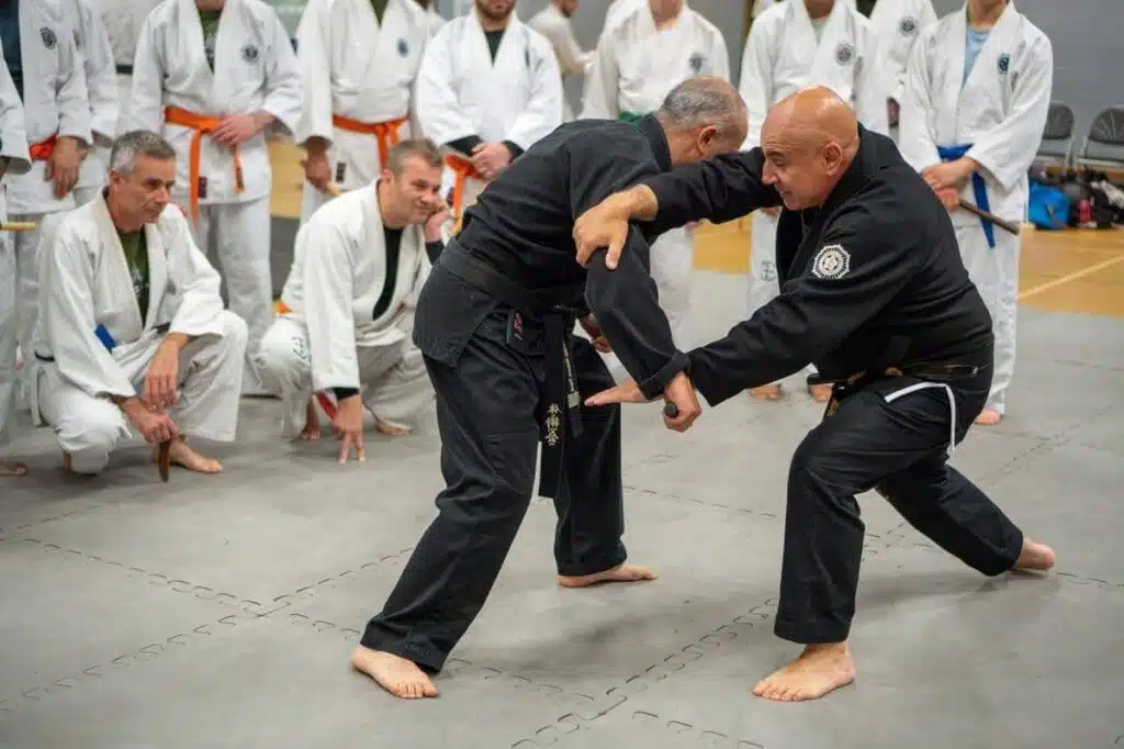 Two black belt instructors demonstrating a technique while students watch at a TJK seminar